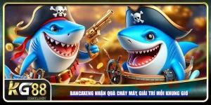 Bancaxeng Nhận Quà Cháy Máy, Giải Trí Mỗi Khung Giờ