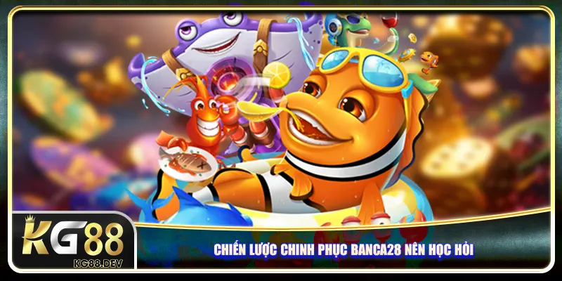 Chiến lược chinh phục Banca28 nên học hỏi