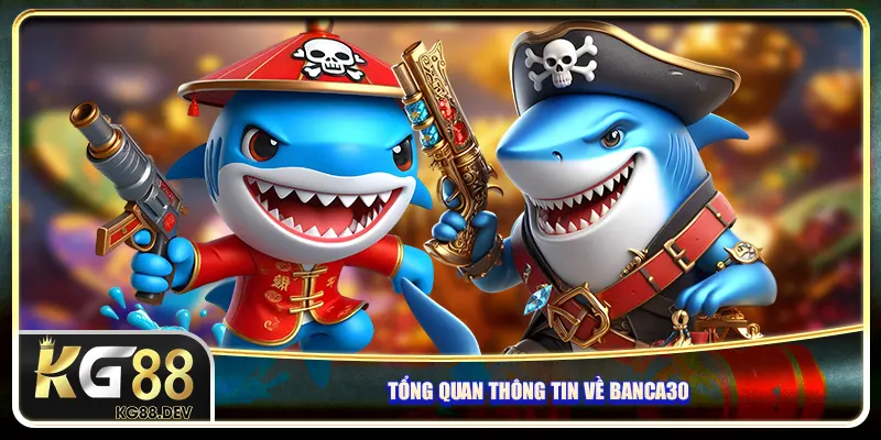 Tổng quan thông tin về Banca30