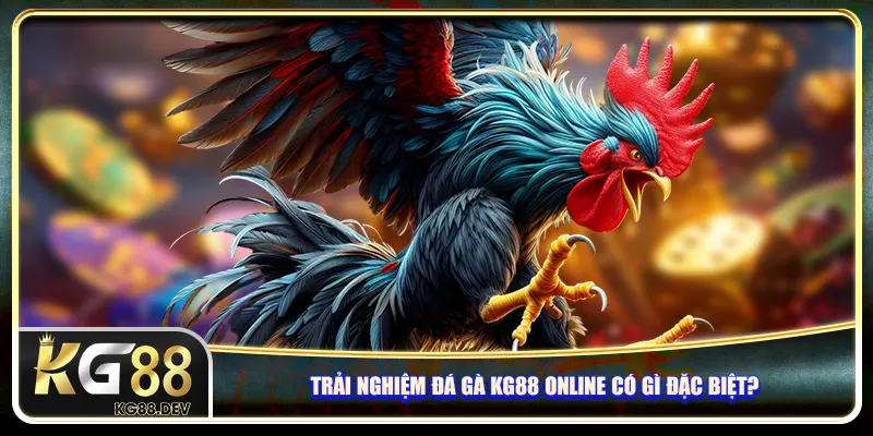 Trải nghiệm đá gà KG88 online có gì đặc biệt?
